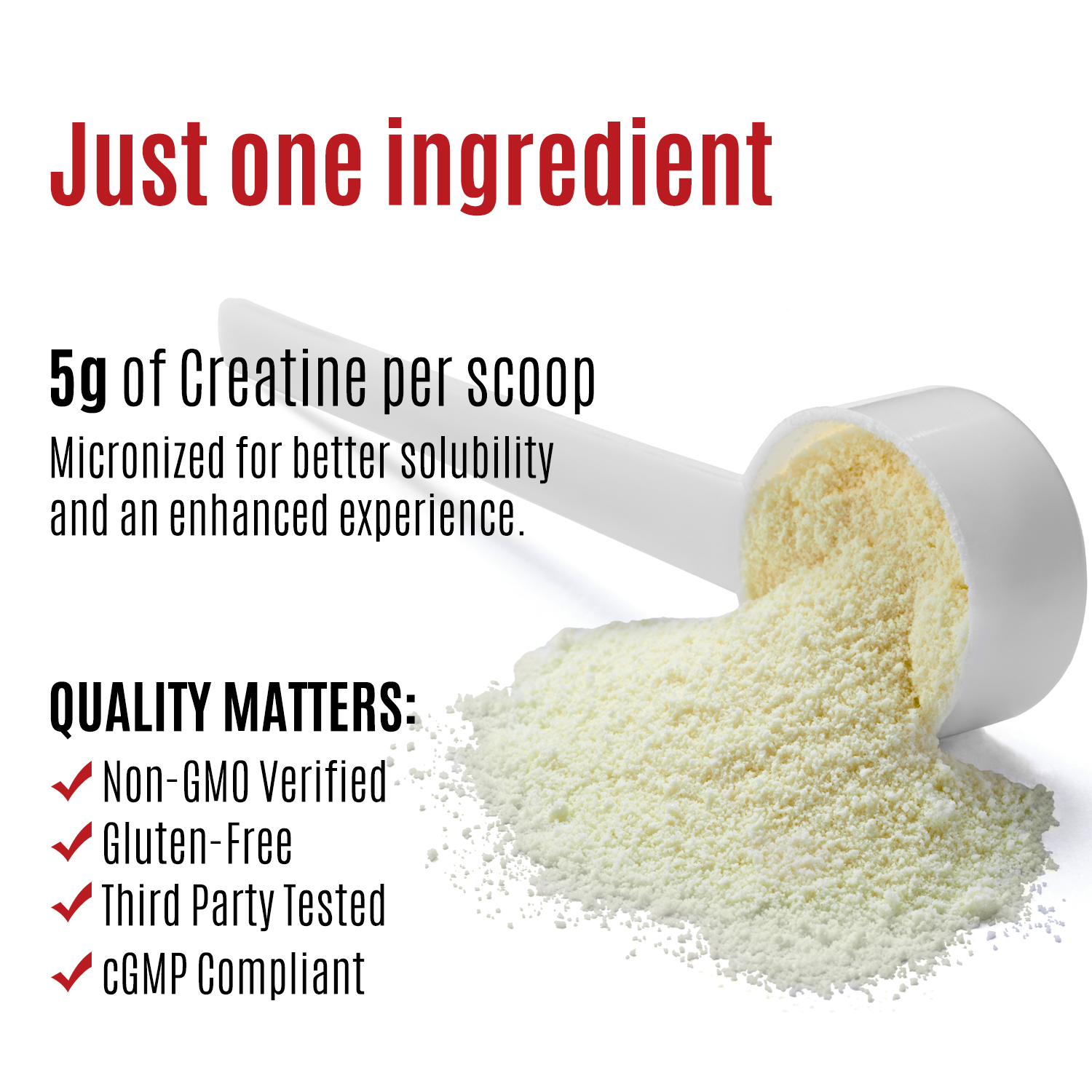 微信图片_20260119170616_984_10